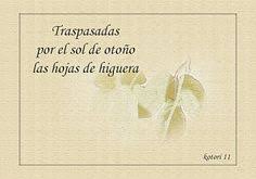 Resultado de imagen para haikú