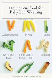 Babyledweaningfirstfoods Baby Rezepte Mittagessen Babyledweaningfirstfoods Rezepte B In 2020 Baby Led Weaning Recipes Baby Led Weaning First Foods Baby Led Weaning