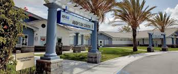 Maybe you would like to learn more about one of these? Dog Adoption In Long Beach Ca