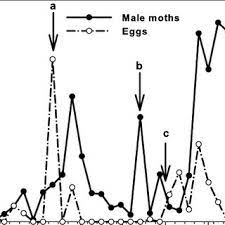 Pdf Field Efficacy And Application Timing Of Methoxyfenozide A Reduced Risk Treatment For Control Of Navel Orangeworm Lepidoptera Pyralidae In Almond When plant mutations result in desirable traits, they are often developed by growers into. navel orangeworm