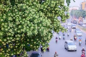 Cập nhật liên tục xu hướng thời trang với những mẫu hot trend, chia sẻ cách mix đồ cho từng dáng người và bí quyết mặc đẹp nhất. Thá»i Tiáº¿t Sai Gon Ngay Ngay Mai