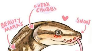 Kawaii Snek 3 Snek Pet Snake Reptiles Pet