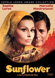 I was hoping a gangster movie with cold blooded action choreography but turned out to be sentimental & a powerful drama. Watch Sunflower English Subtitled Prime Video