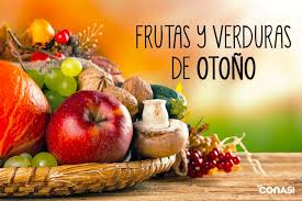 We did not find results for: Calendario De Frutas Y Verduras De Otono Que Anadir Al Plato