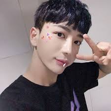 Pin By Vincent Alexander Mayer On In2it Fandoms Kpop Idol Ulzzang Boy