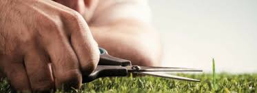 Trop Perfectionniste, et alors ! | Blog Cap Cohérence