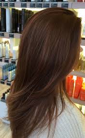 Reddish Brown Toner Hair Color Shades Pretty Hair Color Brunette Hair Color