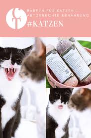 Barfen Fur Katzen Artgerechte Ernahrung Teil Ii Calistas Traum Katzen Katzen Futter Ernahrung