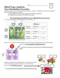 The red colour in the flower of a sweet pea plant is produced by a pigment called anthocyanin. Normal Dominant Recessive Mendelian Genetics