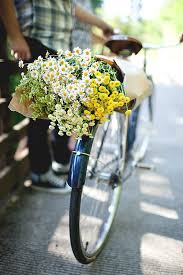 Modern Girls Amp Old Fashioned Men Via Tumblr Fleurs Fleuriste Toutes Les Fleurs Faire Un Jardin