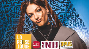 INTERVIEW : Le festival Jardins Synthétiques, un événement qui décloisonne  les arts et les publics.