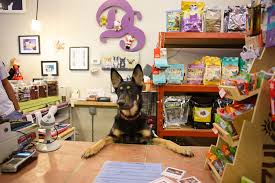 We did not find results for: Pet Stores In Chicago For Dog Leashes Cat Collars And More
