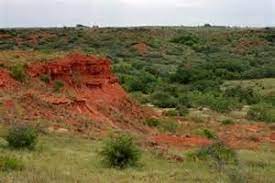 We did not find results for: Black Kettle National Grassland Washita Battlefield National Historic Site U S National Park Service