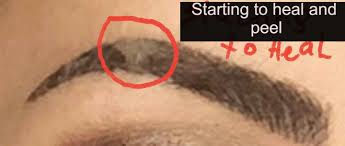 The cosmetic technique that has become increasingly popular in the last couple of years. The Difference Between Microblading Vs Soft Tap Vs Ombre Tattoing Techniques Which One Is Better