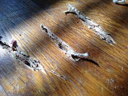 But be aware fillers vary widely in type and qualities, and it may be difficult to find one of just the right colour. Wood Filler Tips Epoxy Wood Filler Hardwood Floors Mn