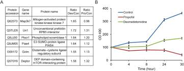 655 = 5 * 131. Quantitative Analyses Of The Global Proteome And Phosphoproteome Reveal The Different Impacts Of Propofol And Dexmedetomidine On Ht22 Cells Scientific Reports