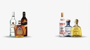 bacardi bottles transparent hd png download kindpng bacardi bottles transparent hd png