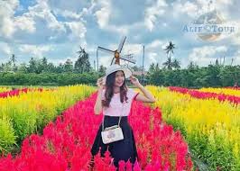 Tapi bisa merekam dalam bentuk video yang agak lama. Taman Bunga Celosia Bandungan Fasilitas Dan Harga Tiket Masuk