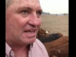 Barnaby Joyce says he is 'sick of the government being in my life' in  Christmas Eve video