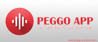 This process is quite easy and similar to bluestacks app installation process. Peggo