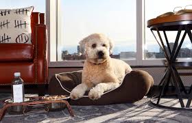 Pin On Luxury Hotels Resorts