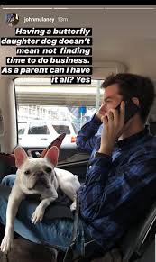 Petunia mulaney while owner john mulaney may call her a gremlin from time to time, petunia mulaney rides around in a stroller and lives the best life. Petunia Mulaney Explore Tumblr Posts And Blogs Tumgir