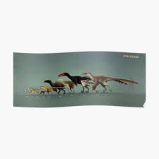 dromaeosauridea raptors size chart poster 2018 poster