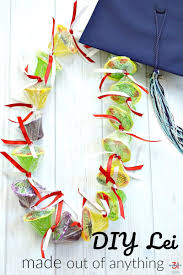 Apr 22 2020 explore dcacaos board. Diy Lei Made From Almost Anything Organized 31