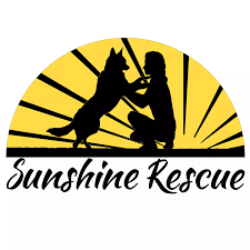 Sharing our rescue puppies, other adorable rescue dogs and inspiration from our pets who share our world with our son, lil' duck! Sunshine Rescue Home Facebook