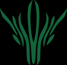 But syl is a type of spren, who consider themselves the cognative side of the emotion honor. The Stormlight Archive Heralds Knights And Spren Characters Tv Tropes