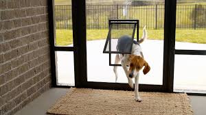 It provides emergency egress in case of a fire or other emergency. Petsafe Pet Screen Door Youtube