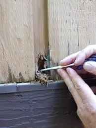 How To Repair Wood Rot Wood Repair Diy Home Repair Diy Home Improvement