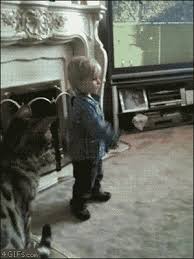 Eine kerze der hoffnung für alle vermißten kinder dieser welt. Lustige Katzen Gifs Katzenwiewir De