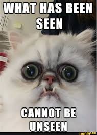 What Has Been Seen Cannot Be Unseen