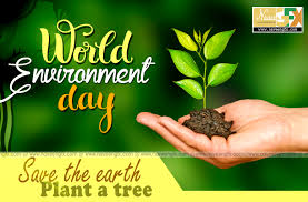 See environment day poster stock video clips. June 5 World Environment Day Quotes Posters Wallpapers Free Online Naveengfx