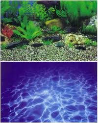Si prefieres comprar fotos de fondos de acuario para pegar, debes utilizar luego un pegamento para pegar fondo adecuado. Background Aquarium Amazon Nilo 60cm X 1 5m Decorative Aquarium