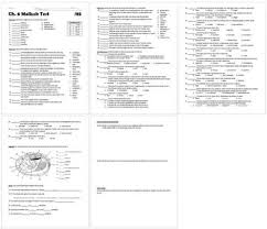 Mollusk Phylum Mollusca Test For Biology Or Zoology Tpt