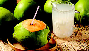 Resultado de imagen para beneficios del agua de coco en ayunas