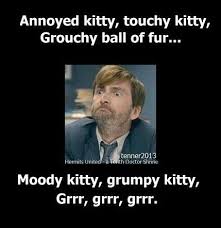 Pin By Mandy Deem On Funny Stuff Broadchurch David Tennant Make Me Laugh