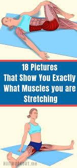 18 Pictures That Show You Exactly What Muscles You Are Stretching Gymshark Gym Fitness Exercise Tryathome Athomeworkout S Exercise Excercise Workout