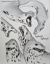 Leopard Seals By Wingedwolf94 On Deviantart Leopard seal, seal, antartica, gay, supporter, lesbian, trans, pansexual, bi, ace, grey, aromatic, aro, sea, animal, facts, religion, nature is bi, cute, pride. leopard seals by wingedwolf94 on deviantart