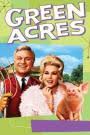If you know, you know. Bonanza Trivia Bonanza Quiz