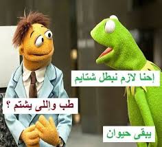 Pin By Amany Ghozlan On نكت ومقاطع ضاحكة Arabic Funny Quotes Funny Qoutes Funny Dude Funny Picture Jokes