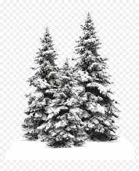 Tree Trees Christmas Christmastree Snow Winter Wintertr Pine Tree Snow Png Transparent Png Vhv Find the best free stock images about christmas tree png. tree trees christmas christmastree snow