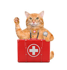 ( includes rabies & feline distemper vaccines, advantage (30 day flea preventative) & nail trim. S N Clinic Jersey Shore Animal Center