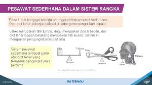Hal ini dimungkinkan terjadi dengan adanya sebuah batang ungkit (tuas) dengan titik tumpu, titik gaya, dan titik yang divariasikan letaknya. Usaha Pesawat Sederhana Dan Kerja Otot Rangka Sumber