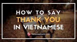 Again, it depends on who you say hello to, so it has different pronoun such as chào em, chào anh, chà. How To Say Thank You In Vietnamese Vietnamesepod101