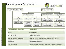 High Yield Internal Medicine Flashcards Oncology Flashcard 895