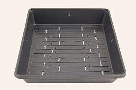 Plant Growing Tray 10 12 X 10 112 X 2 14 Perfect Microgreens Seed Trays With Holes 25 Pack You Can Get Additional Details A Microgreens Hydroponics Seeds