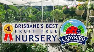 Your order through this online nursery will be processed faster then phone or fax orders. Ladybird Fruit Tree Nursery About Facebook